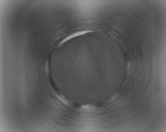 X0000063500568200602101902