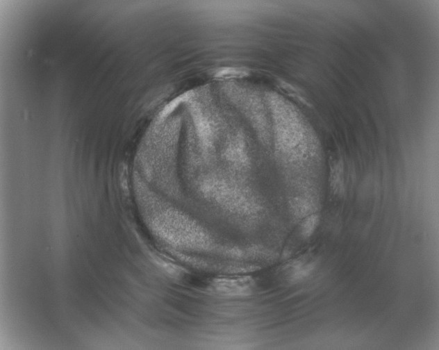 X0000063500571200602101902