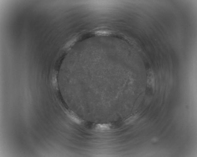 X0000063500573200602101902