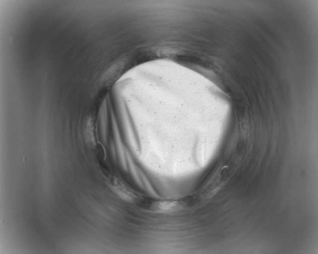 X0000063500575200602101902