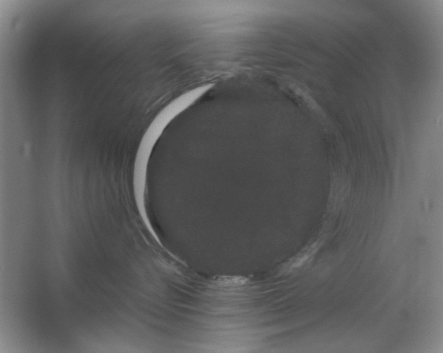 X0000063500576200602101902