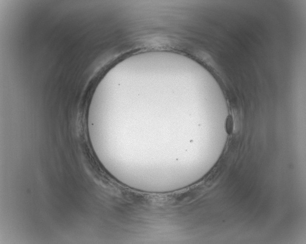 X0000063500579200602101901