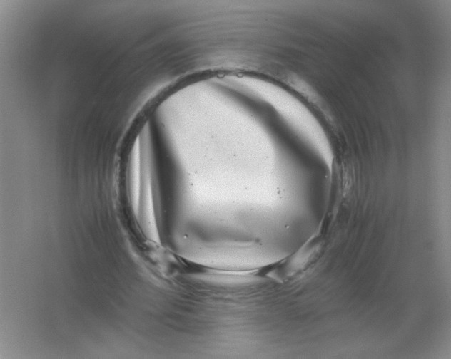 X0000063500580200602101901