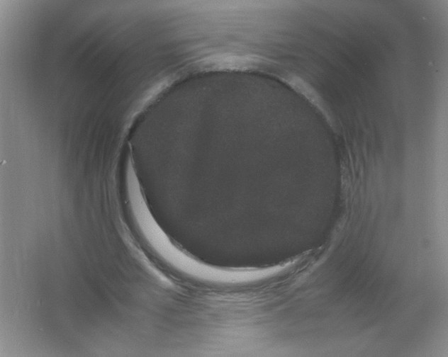 X0000063500581200602101901