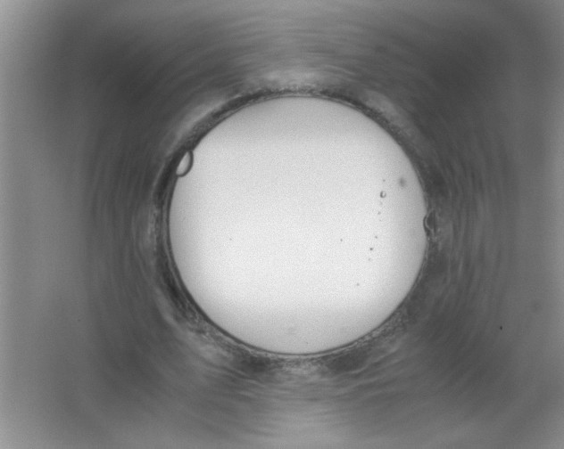 X0000063500583200602101901