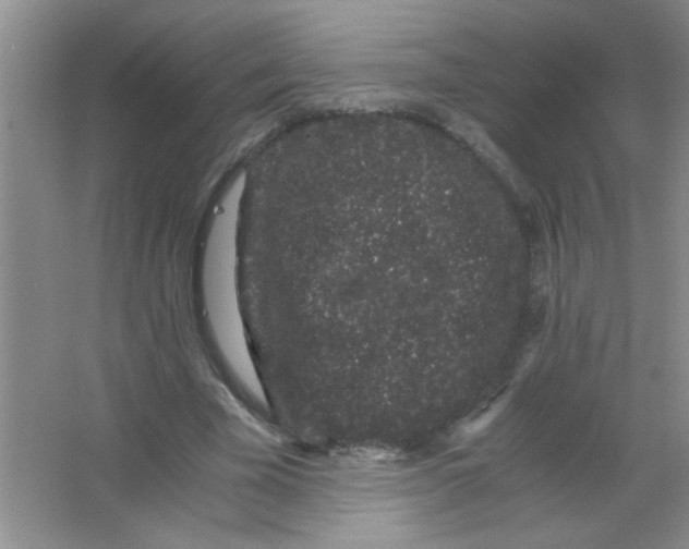 X0000063500585200602101901