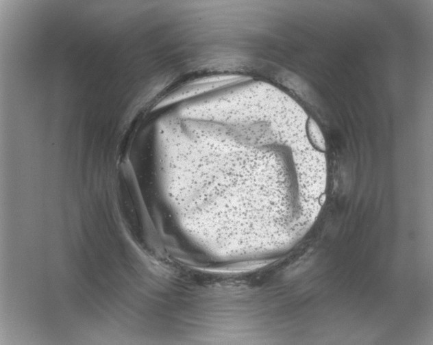 X0000063500586200602101901