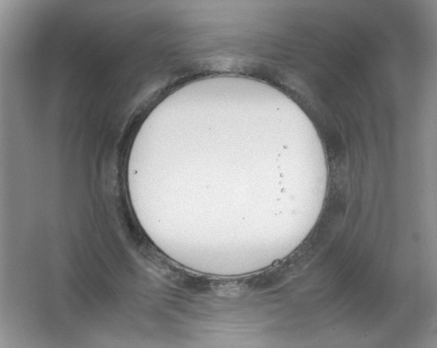 X0000063500587200602101901