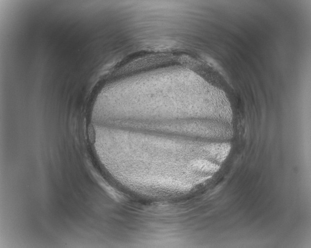 X0000063500589200602101901