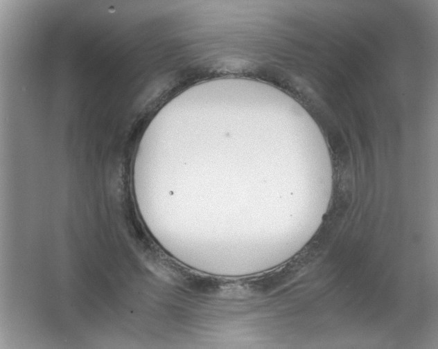 X0000063500591200602101901