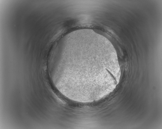 X0000063500593200602101901