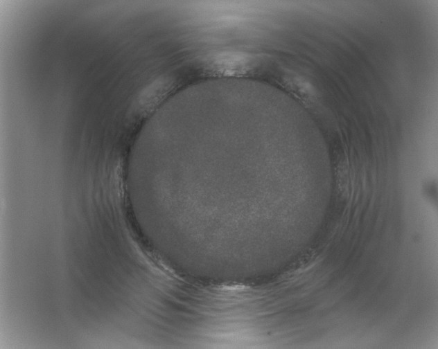 X0000063500594200602101901