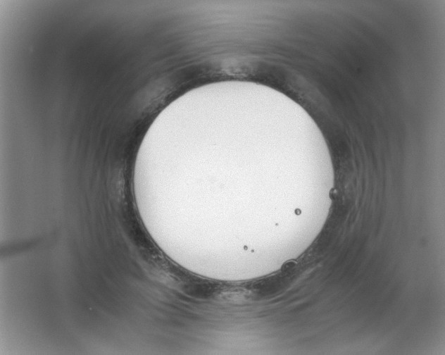 X0000063500595200602101901