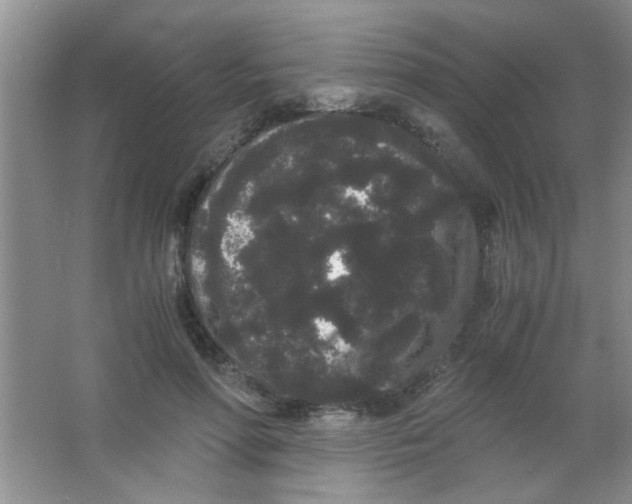 X0000063500598200602101901