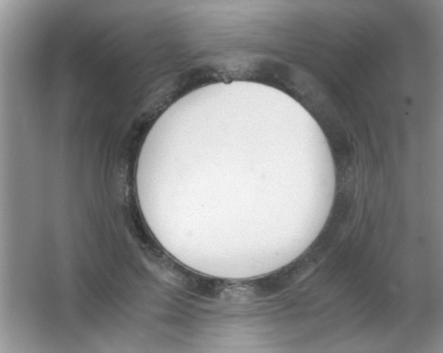 X0000063500599200602101901