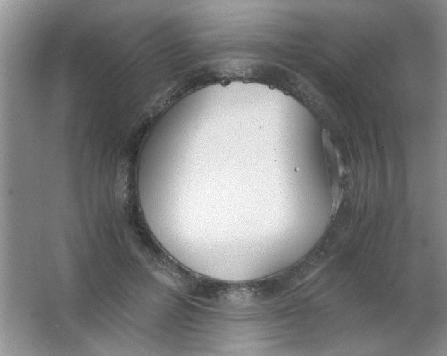 X0000063500600200602101901