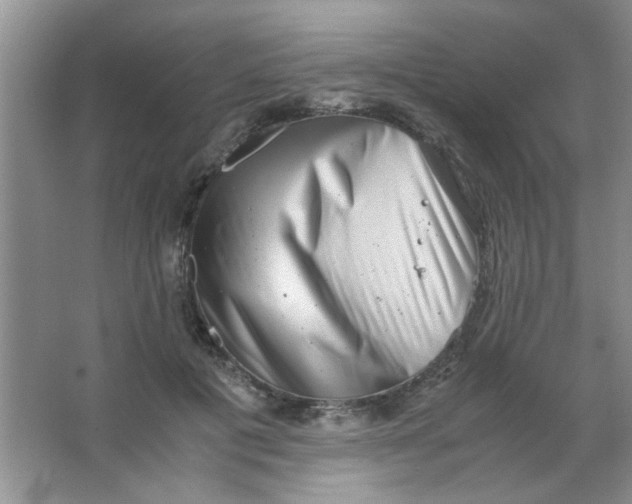 X0000063500601200602101901