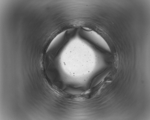 X0000063500604200602101901