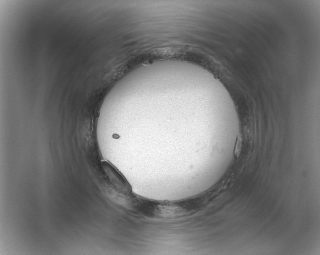 X0000063500605200602101901