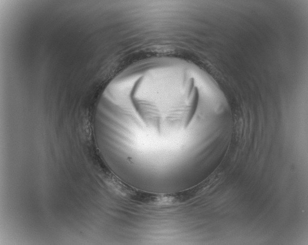 X0000063500609200602101901