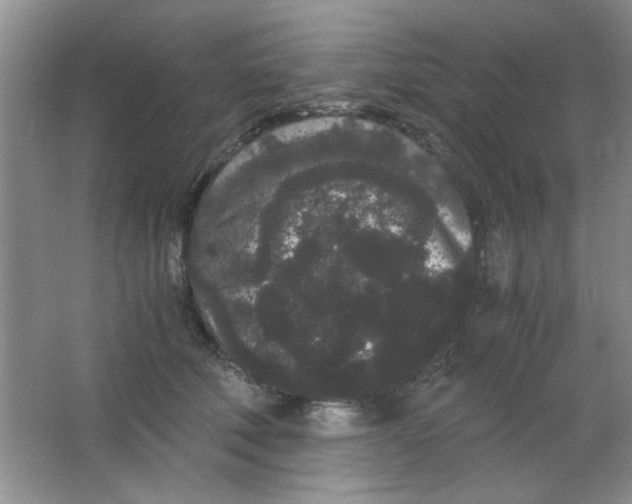 X0000063500610200602101901