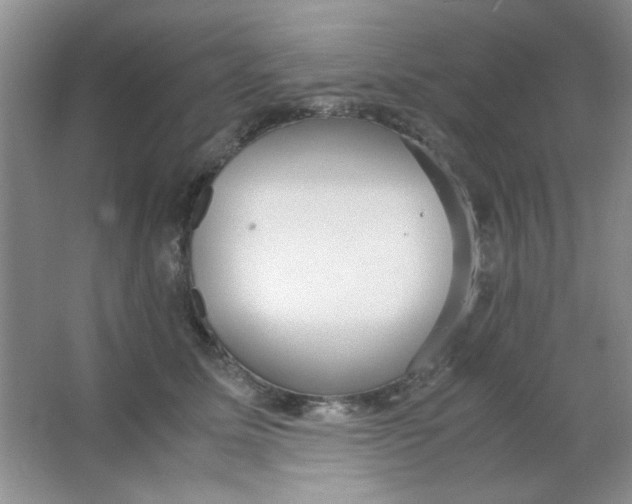 X0000063500611200602101901