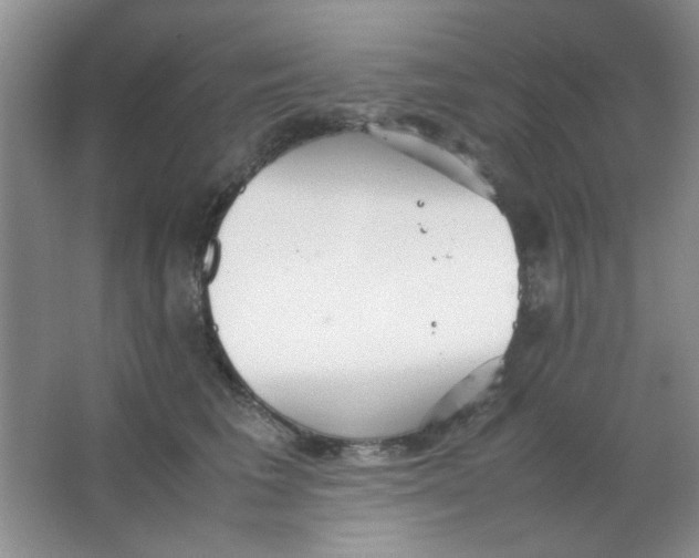 X0000063500613200602101901