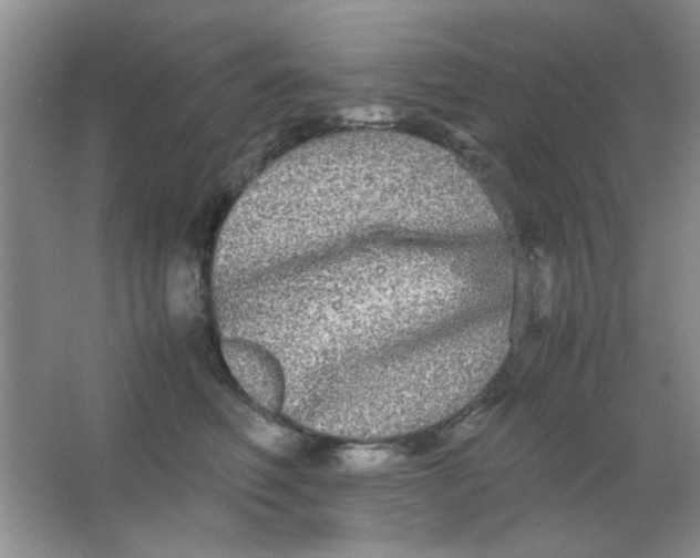 X0000063500614200602101901