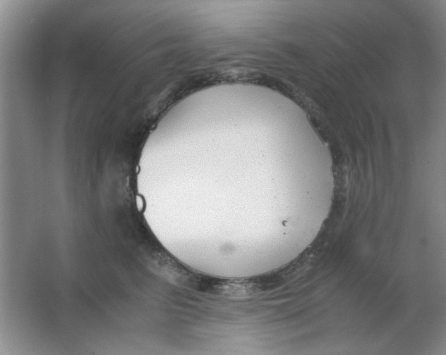 X0000063500615200602101901