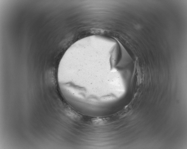 X0000063500616200602101901