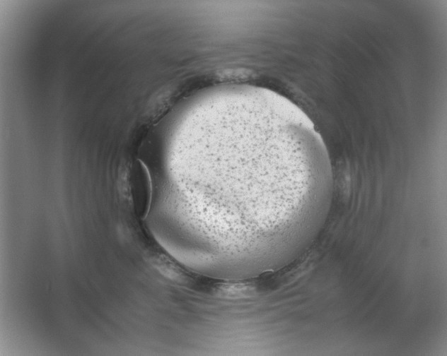 X0000063500619200602101901