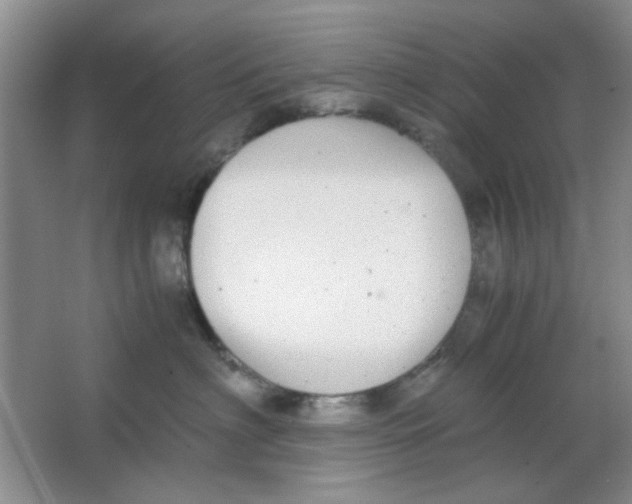 X0000063500622200602101901