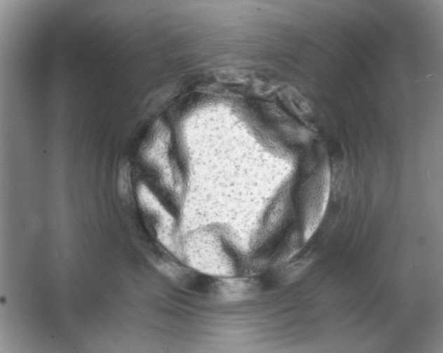 X0000063500623200602101901