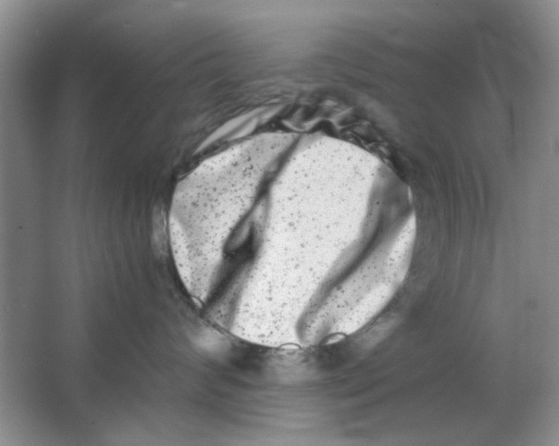 X0000063500624200602101901