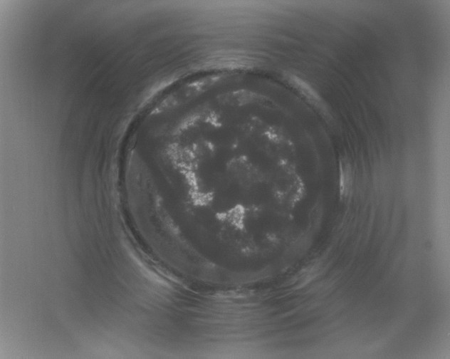 X0000063500627200602101900