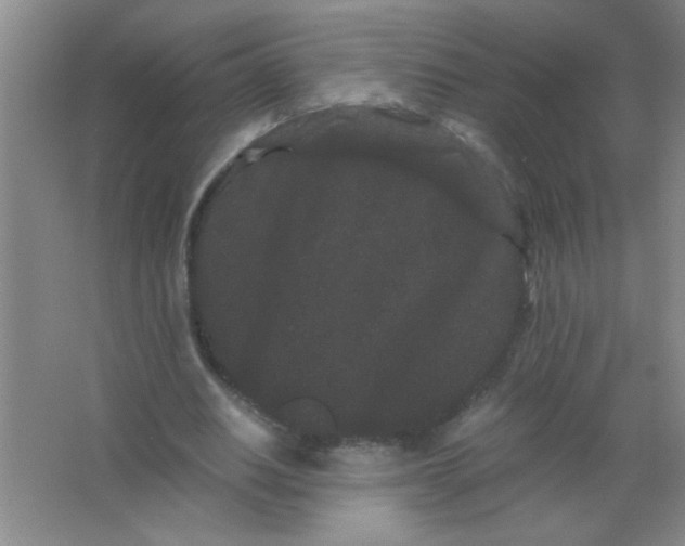 X0000063500630200602101900