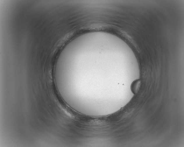 X0000063500633200602101900