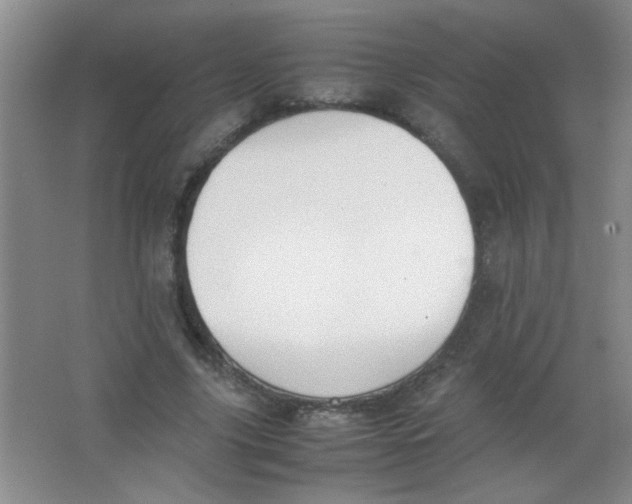 X0000063500635200602101900