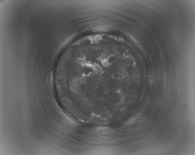 X0000063500637200602101900