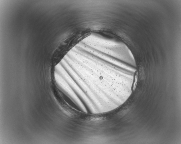 X0000063500638200602101900