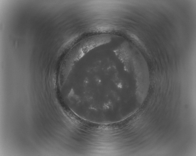 X0000063500640200602101900