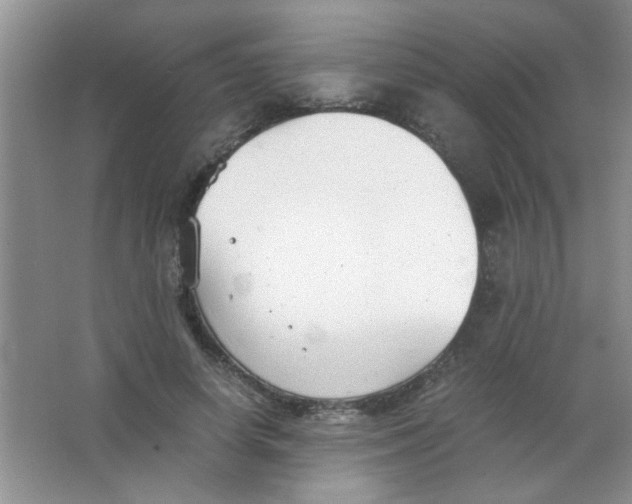 X0000063500642200602101900