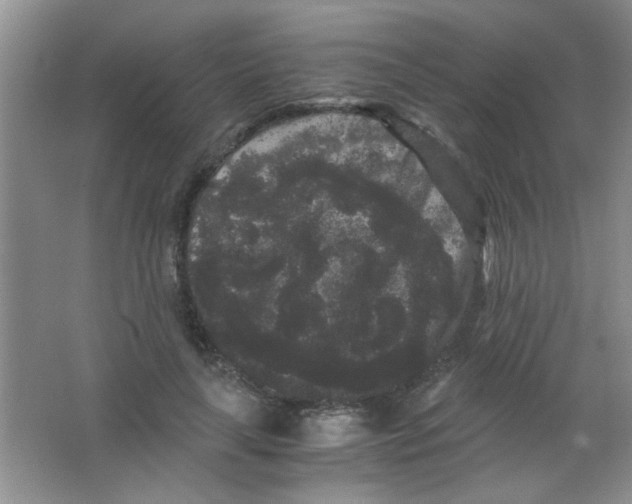 X0000063500643200602101900