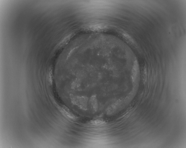 X0000063500644200602101900