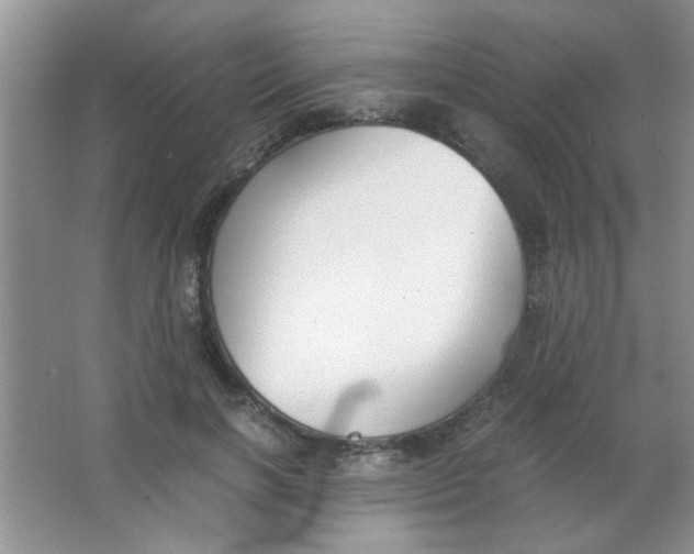 X0000063500646200602101900