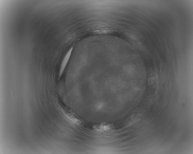 X0000063500647200602101900