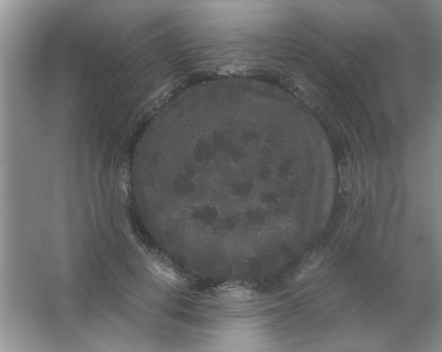 X0000063500648200602101900