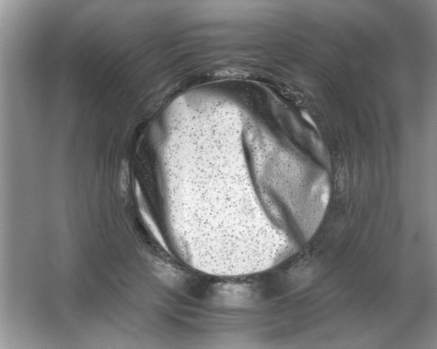 X0000063500649200602101900