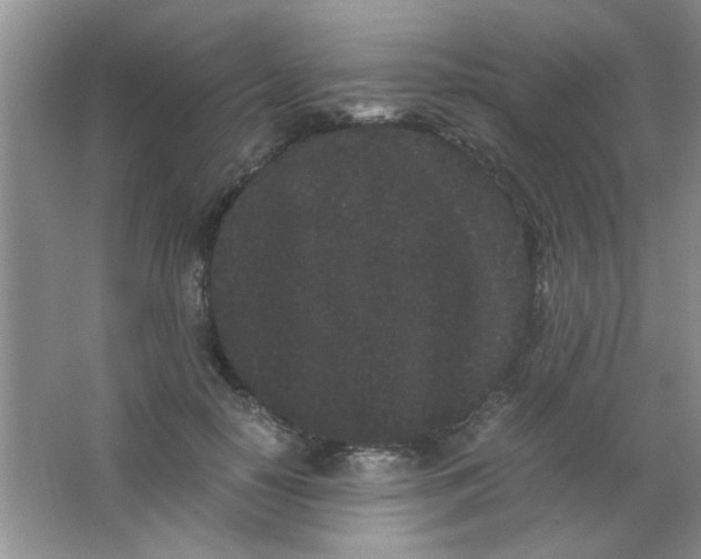 X0000063500650200602101900