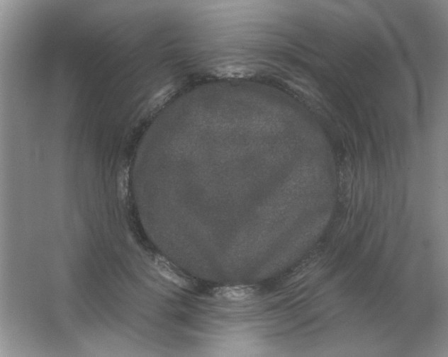 X0000063500652200602101900